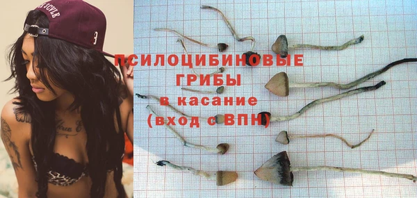 альфа пвп Няндома