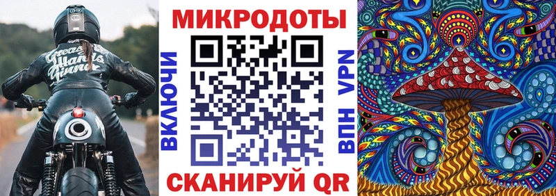 Псилоцибиновые грибы прущие грибы  Купить закладки  Белгород 